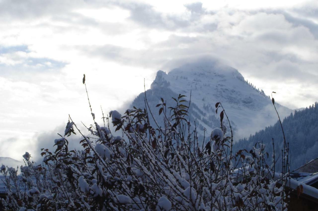Studio Le Marquis 2 Morzine Bagian luar foto