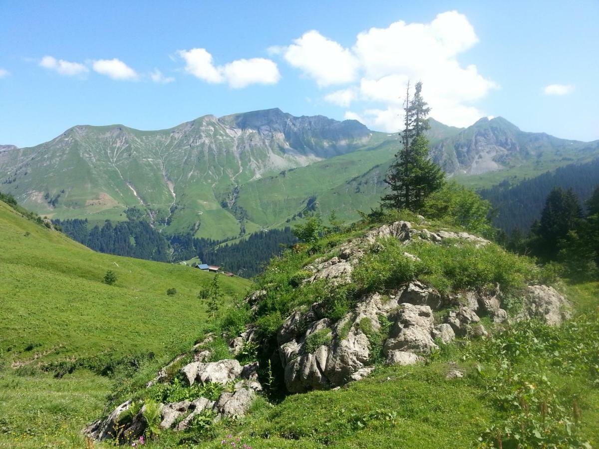 Studio Le Marquis 2 Morzine Bagian luar foto